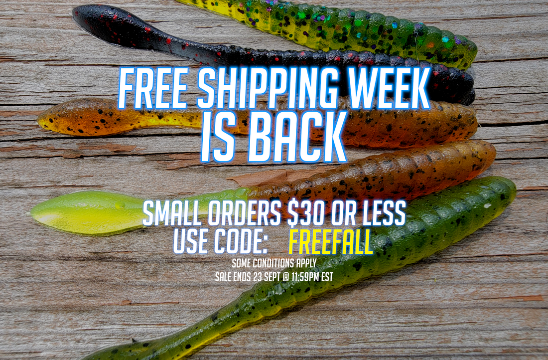 Free Shipping Week is back!
